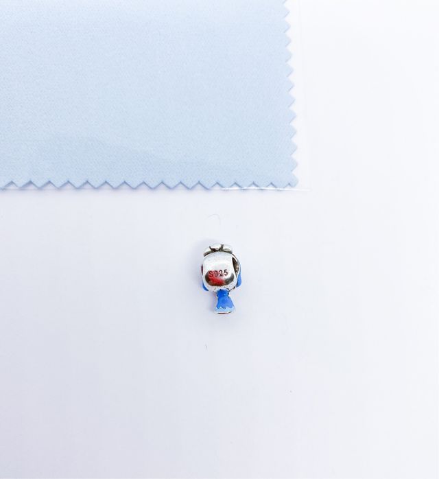 Charm La Cenicienta NUEVO