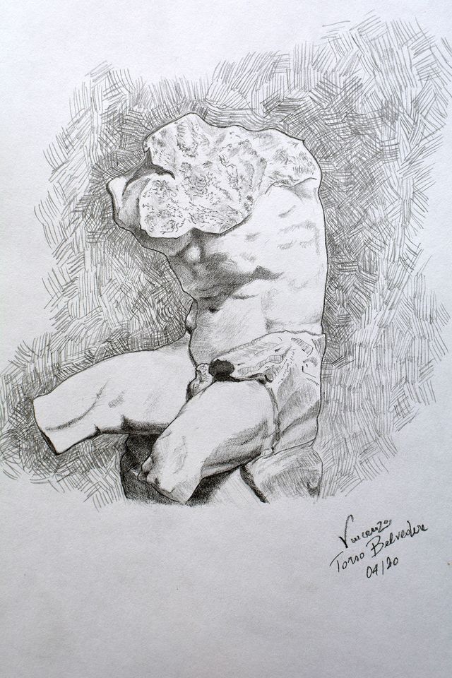 Torso Belvedere, Quadretto in Grafite