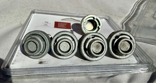Tornillos antirobo peugeot Citroën