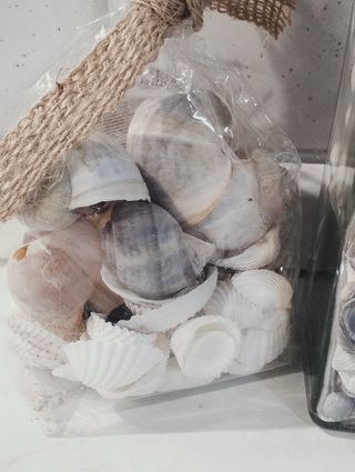 Idea regalo conchiglie