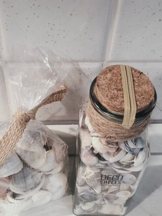 Idea regalo conchiglie