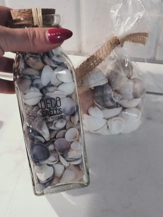 Idea regalo conchiglie