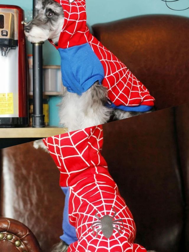 Pack Accesorios Perro