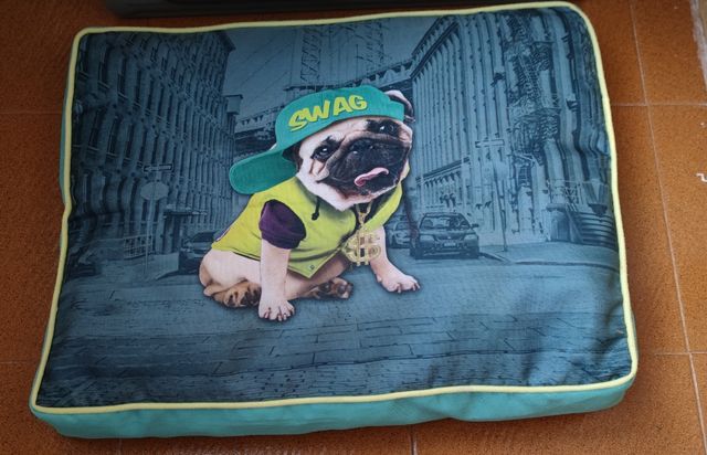 Pack Accesorios Perro