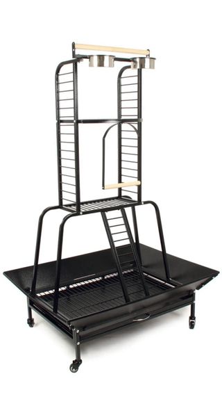 Parque de juegos loro