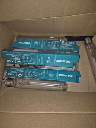 kit de cultivo interior 