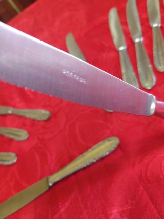 Coltelli acciaio ROSTFREI