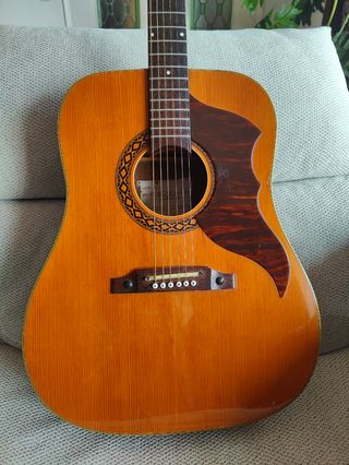 Guitarra Acústica Eko Ranger