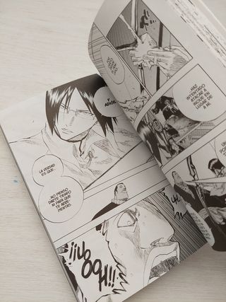 Bleach 11