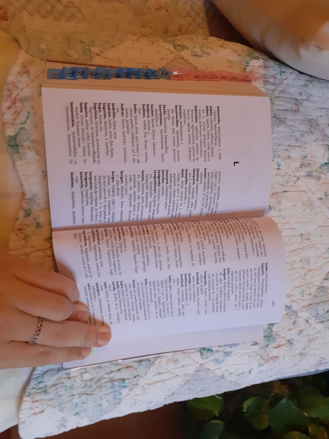 Diccionario esencial latin español Vox