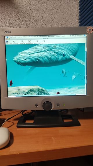 Monitor TFT AOC 