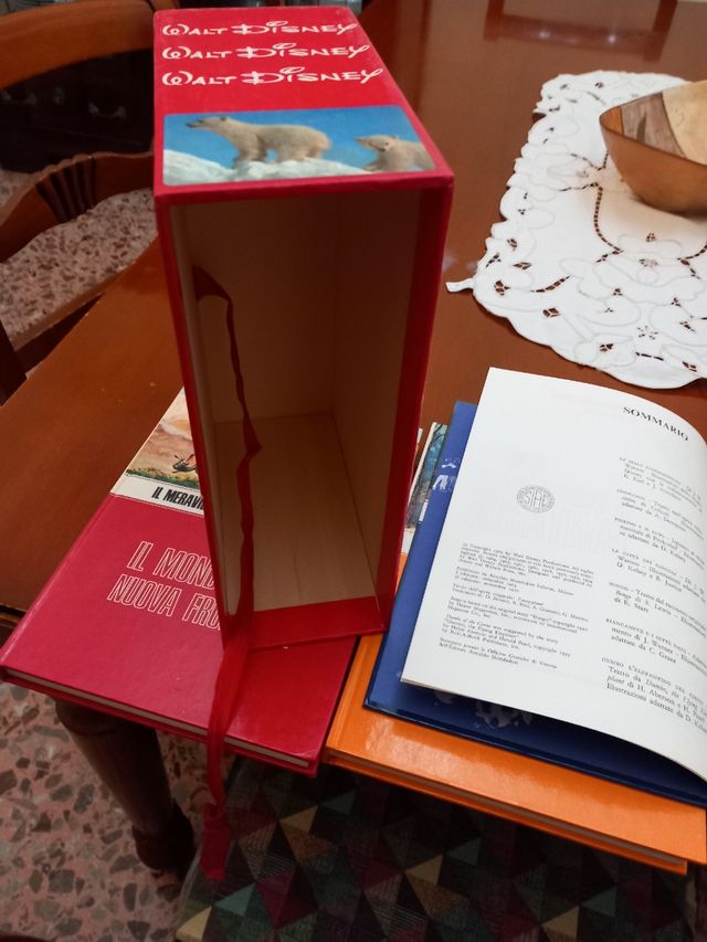 Libri cofanetto il meraviglioso mondo di Disney