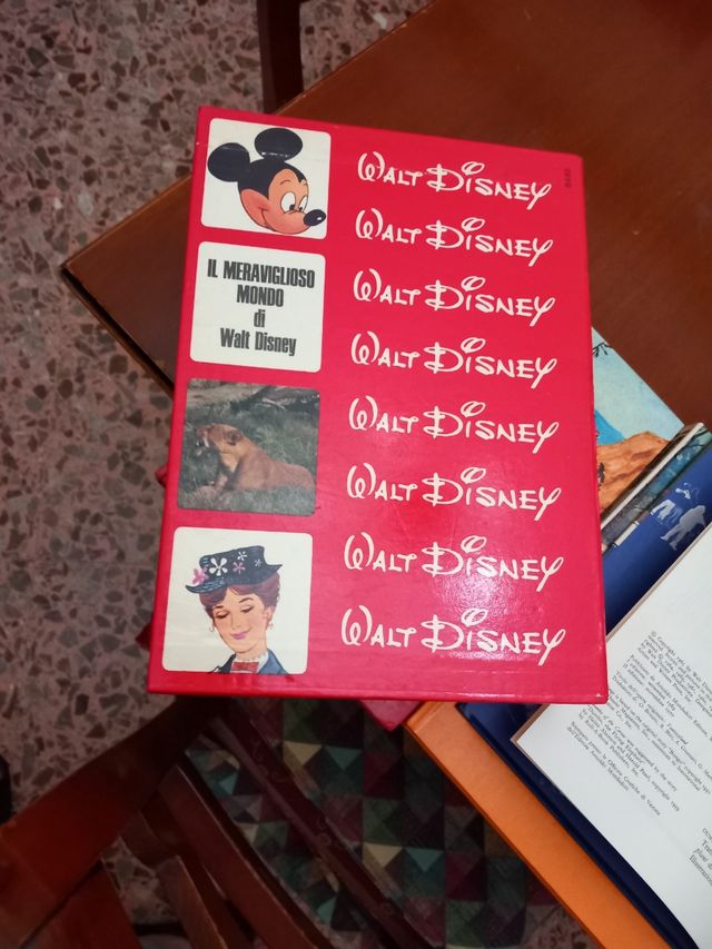 Libri cofanetto il meraviglioso mondo di Disney