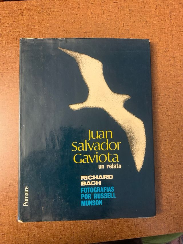 Juan Salvador Gaviota