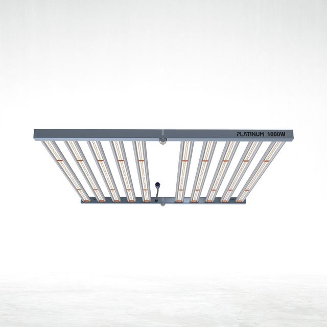 Platinum Led 1000w con conexión para master contro