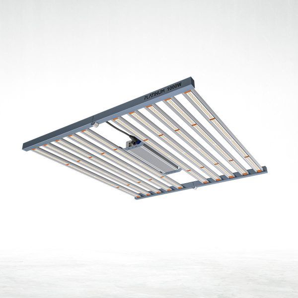 Platinum Led 1000w con conexión para master contro