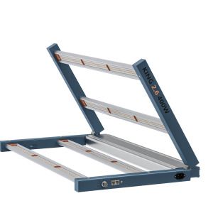 Platinum King LED 400W Con Conexión Master control