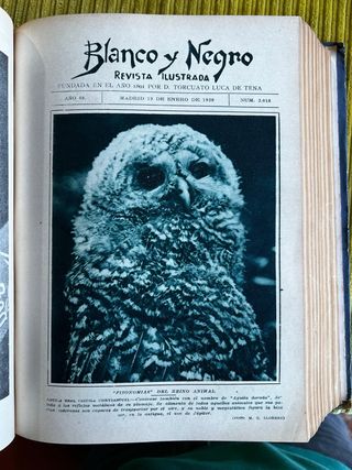 REVISTA BLANCO Y NEGRO (1930, Enero-Marzo)