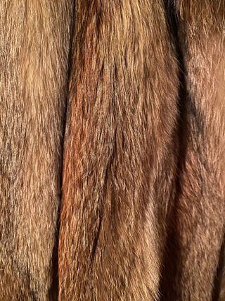 Chaqueton zorro vintage