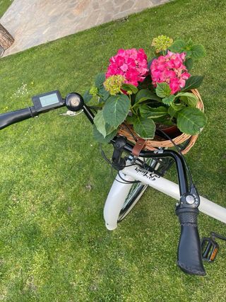 Preciosa Bici de paseo eléctrica