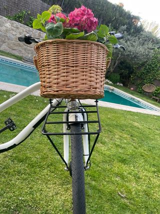 Preciosa Bici de paseo eléctrica