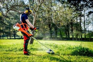 Desbroces en Zamora y Faramontanos