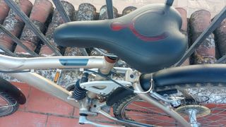 Bicicleta de montaña 