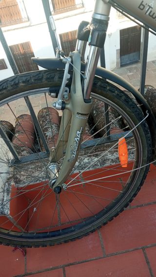 Bicicleta de montaña 