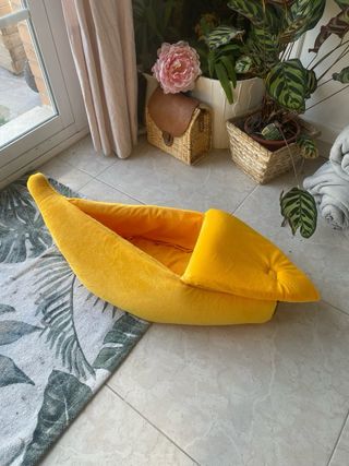 cama para perros o gatos