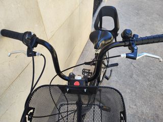 Bicicleta paseo