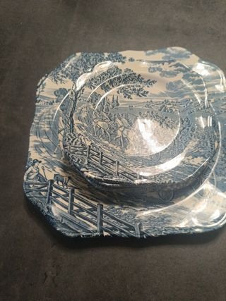Platos porcelana ingleses
