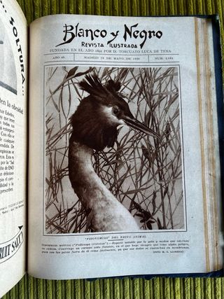 REVISTA “BLANCO Y NEGRO” (1930, marzo-mayo).
