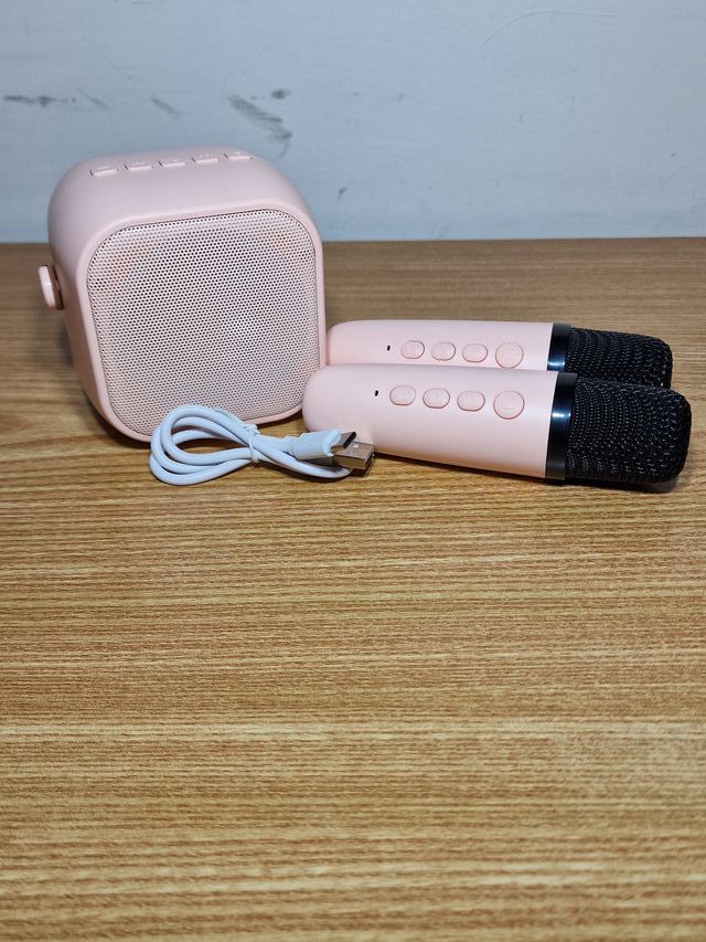 Cassa karaoke Bluetooth con due microfoni rosa