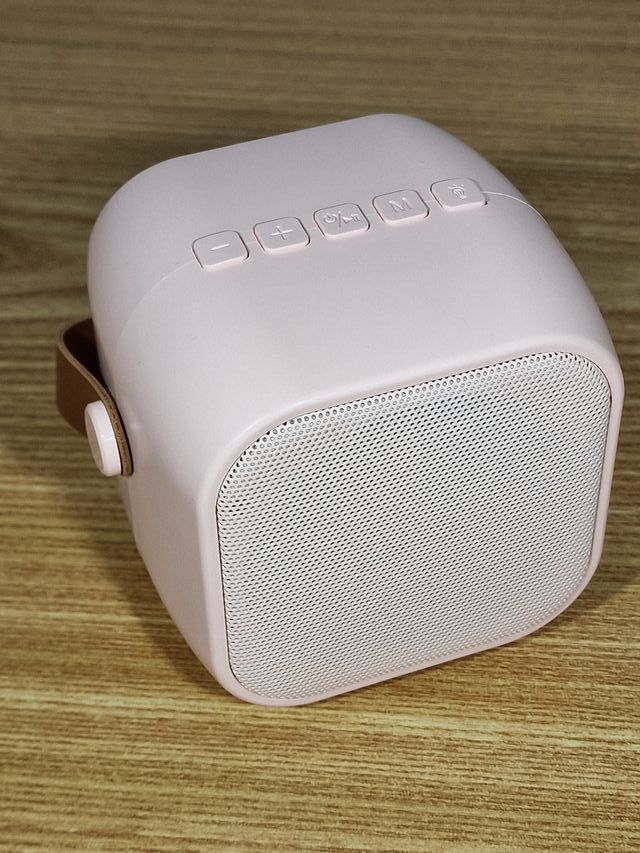 Cassa karaoke Bluetooth con due microfoni rosa