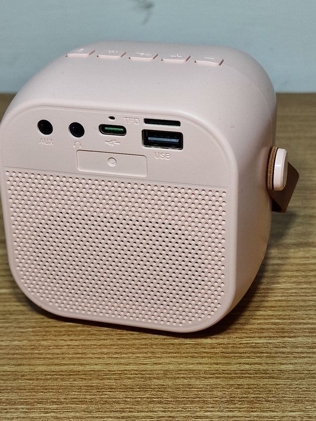 Cassa karaoke Bluetooth con due microfoni rosa