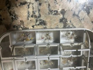 Caja moscas ideales para pesca truchas