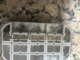 Caja moscas ideales para pesca truchas