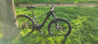 Bicicleta de montaña eléctrica alemana