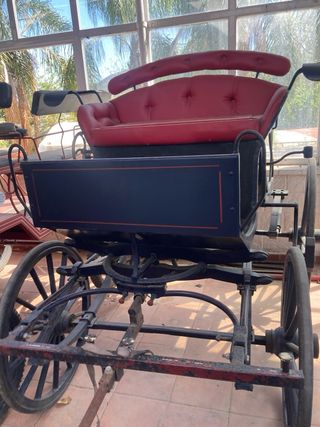 Carruajes para caballos