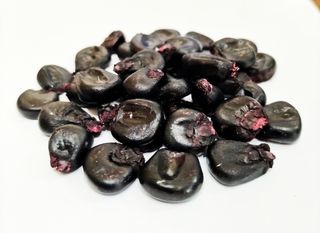 25x Mais moradi seeds