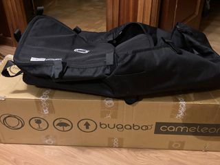 Boogabo cameleon