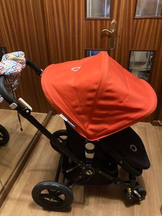 Boogabo cameleon