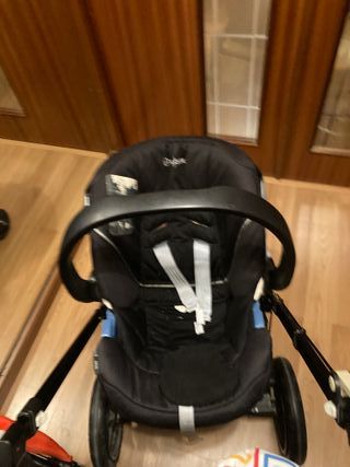 Boogabo cameleon