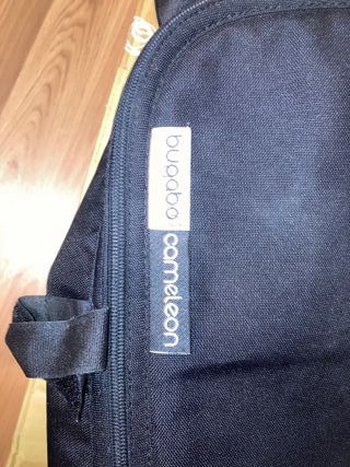 Boogabo cameleon