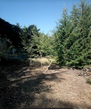 Desbroces 20€/hora