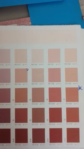 Pintor alicantino, económico