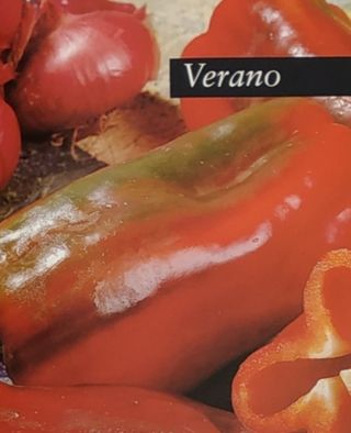 100 Menús de Temporada