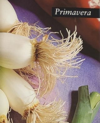 100 Menús de Temporada