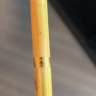 BOLIGRAFO WATERMAN PLAQUE ORO