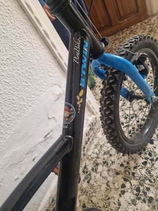 Bicicleta niño